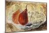 Shell, Dish and Fruit-Christopher Wood-Mounted Giclee Print