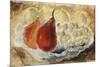 Shell, Dish and Fruit-Christopher Wood-Mounted Giclee Print