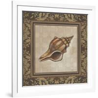 Shell Elegance I-Kimberly Poloson-Framed Premium Giclee Print