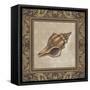 Shell Elegance I-Kimberly Poloson-Framed Stretched Canvas