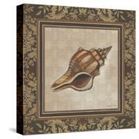 Shell Elegance I-Kimberly Poloson-Stretched Canvas