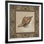 Shell Elegance I-Kimberly Poloson-Framed Art Print