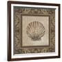 Shell Elegance II-Kimberly Poloson-Framed Premium Giclee Print