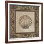 Shell Elegance II-Kimberly Poloson-Framed Premium Giclee Print