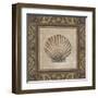 Shell Elegance II-Kimberly Poloson-Framed Art Print