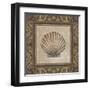 Shell Elegance II-Kimberly Poloson-Framed Art Print