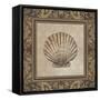 Shell Elegance II-Kimberly Poloson-Framed Stretched Canvas