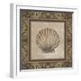 Shell Elegance II-Kimberly Poloson-Framed Art Print