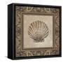 Shell Elegance II-Kimberly Poloson-Framed Stretched Canvas