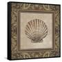 Shell Elegance II-Kimberly Poloson-Framed Stretched Canvas