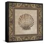 Shell Elegance II-Kimberly Poloson-Framed Stretched Canvas