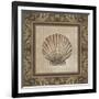 Shell Elegance II-Kimberly Poloson-Framed Art Print