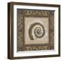 Shell Elegance III-Kimberly Poloson-Framed Art Print