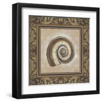 Shell Elegance III-Kimberly Poloson-Framed Art Print