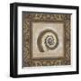 Shell Elegance III-Kimberly Poloson-Framed Art Print