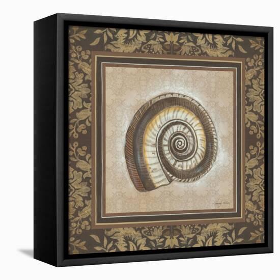 Shell Elegance III-Kimberly Poloson-Framed Stretched Canvas
