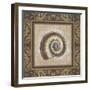 Shell Elegance III-Kimberly Poloson-Framed Premium Giclee Print