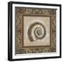 Shell Elegance III-Kimberly Poloson-Framed Premium Giclee Print