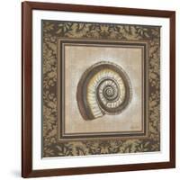 Shell Elegance III-Kimberly Poloson-Framed Premium Giclee Print