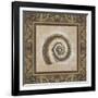 Shell Elegance III-Kimberly Poloson-Framed Art Print