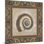 Shell Elegance III-Kimberly Poloson-Mounted Art Print