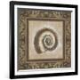 Shell Elegance III-Kimberly Poloson-Framed Art Print