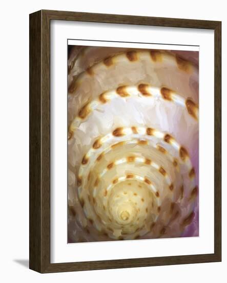 Shell Extraction I-Lola Henry-Framed Photographic Print