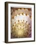 Shell Extraction I-Lola Henry-Framed Photographic Print