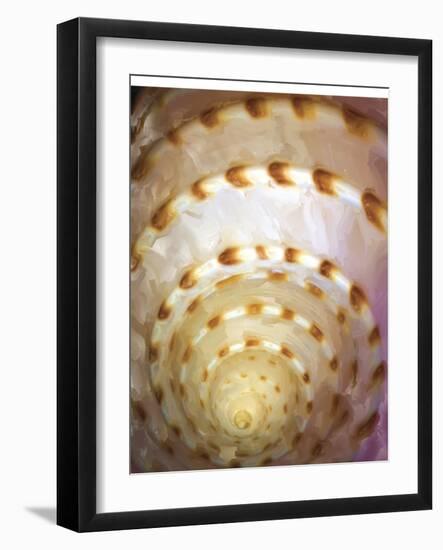 Shell Extraction I-Lola Henry-Framed Photographic Print