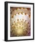 Shell Extraction I-Lola Henry-Framed Photographic Print