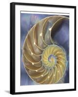 Shell Extraction II-Lola Henry-Framed Photographic Print