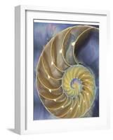 Shell Extraction II-Lola Henry-Framed Photographic Print