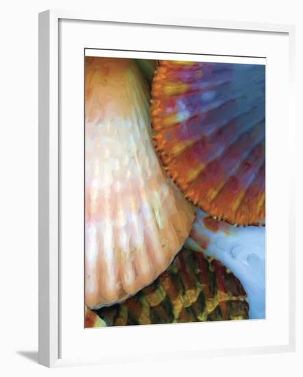 Shell Extraction IV-Lola Henry-Framed Photographic Print