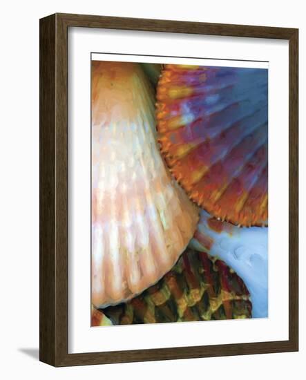 Shell Extraction IV-Lola Henry-Framed Photographic Print