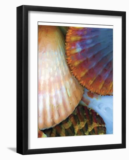 Shell Extraction IV-Lola Henry-Framed Photographic Print