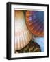 Shell Extraction IV-Lola Henry-Framed Photographic Print