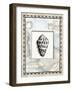 Shell Framed by Map with Boats-Lisa Audit-Framed Giclee Print