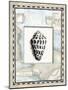 Shell Framed by Map with Boats-Lisa Audit-Mounted Giclee Print