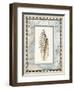 Shell Framed by Screened Map with Lighthouses-Lisa Audit-Framed Giclee Print