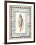 Shell Framed by Screened Map with Lighthouses-Lisa Audit-Framed Giclee Print