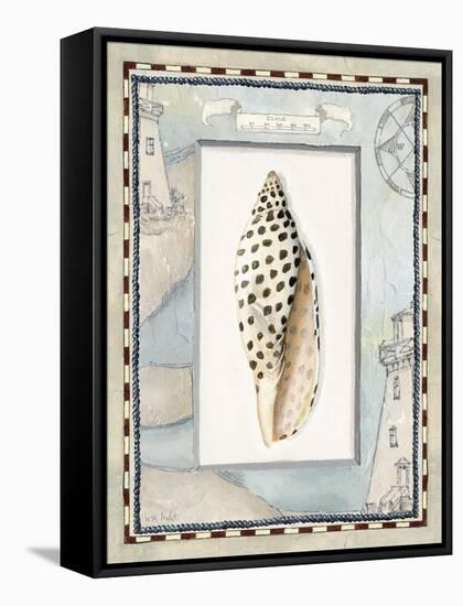 Shell Framed by Screened Map with Lighthouses-Lisa Audit-Framed Stretched Canvas