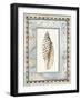 Shell Framed by Screened Map with Lighthouses-Lisa Audit-Framed Giclee Print