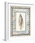 Shell Framed by Screened Map with Lighthouses-Lisa Audit-Framed Giclee Print