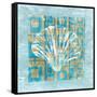 Shell Game 1-Alicia Soave-Framed Stretched Canvas