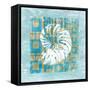 Shell Game 4-Alicia Soave-Framed Stretched Canvas