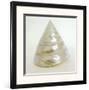 Shell I-Darlene Shiels-Framed Art Print