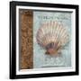 Shell I-Elizabeth Medley-Framed Art Print