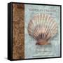 Shell I-Elizabeth Medley-Framed Stretched Canvas