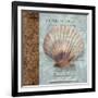 Shell I-Elizabeth Medley-Framed Art Print