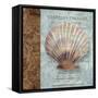 Shell I-Elizabeth Medley-Framed Stretched Canvas